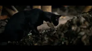 Задник до фильму"" #367118