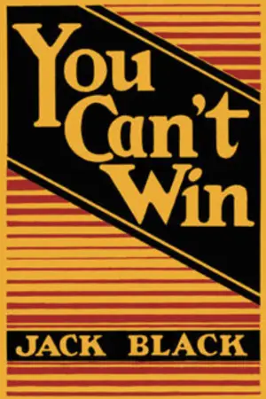 Постер до фильму"You Can