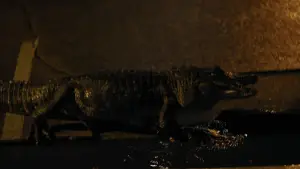 Задник до фильму"" #598731