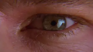 Задник до фильму"Бетмен назавжди" #618928