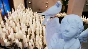 Задник до фильму"Найманий убивця" #796202