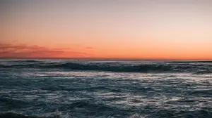 Задник до фильму"" #412929