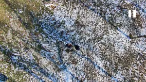 Задник до фильму"Zašto baš film?" #197893