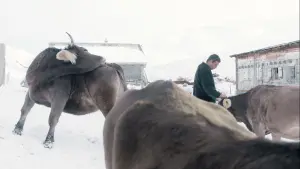 Задник до фильму"" #420425