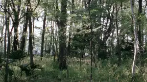 Задник до фильму"Який батько, такий і син" #867087
