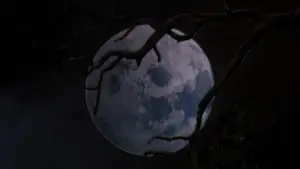 Задник до фильму"Зловісні мерці 3: Армія темряви" #669654