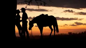 Задник до фильму"Австралія" #638057