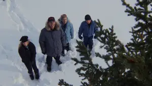 Задник до фильму"Різдвяні канікули" #676788