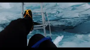 Задник до фильму"Kaizen: 1 an pour gravir l