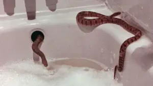 Задник до фильму"" #737841