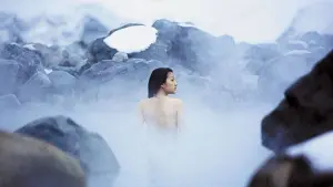 Задник до фильму"Шовк" #466743