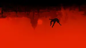 Задник до фильму"Ніч поглинає світ" #306587