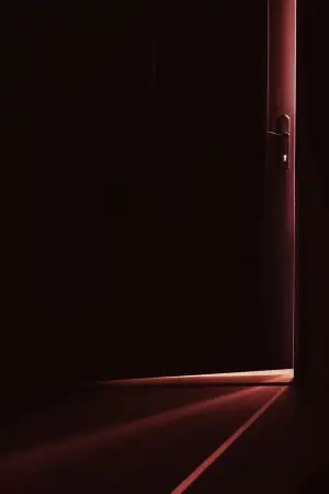 Постер до фильму"Секрет служниці" #779743