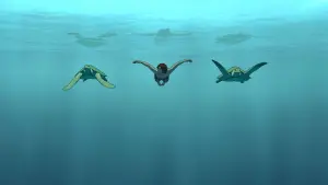 Задник до фильму"Червона черепаха" #212006