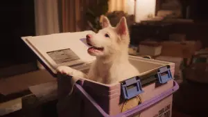 Задник до фильму"โกฮัง..หัวใจโกโฮม" #766288