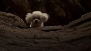 Задник до фильму"Мовчання ягнят" #749466