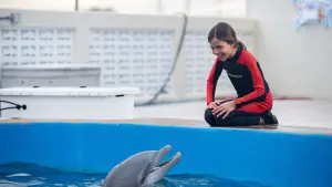 Задник до фильму"Дельфін Берні 2" #333277