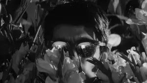 Задник до фильму"Рай і пекло" #685288