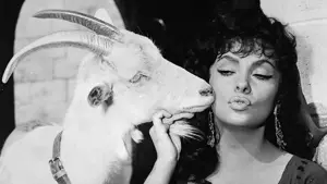 Задник до фильму"Собор Паризької Богоматері" #393286