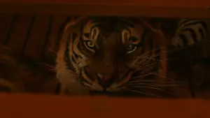 Задник до фильму"Життя Пі" #773176