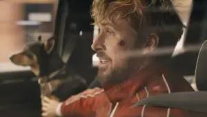 Задник до фильму"Каскадер" #572082