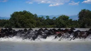 Задник до фильму"" #550795