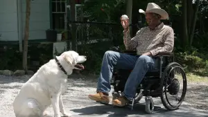 Задник до фильму"Магія Бель Айл" #247305