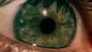 Задник до фильму"Техаська різанина бензопилою" #629013