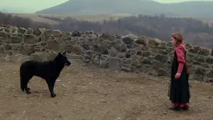 Задник до фильму"" #645260