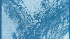 Задник до фильму"Farewell, My Tree" #782132