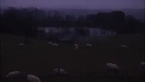 Задник до фильму"" #544033