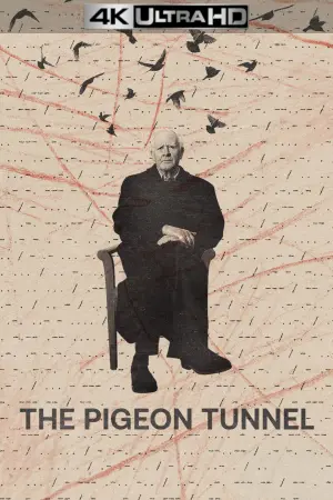 Постер до фильму"Голубиний тунель" #128137