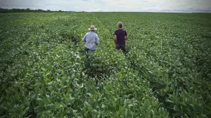 Задник до фильму"" #483441