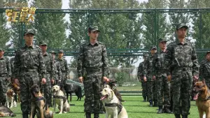 Задник до фильму"" #536822