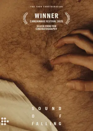 Постер до фильму"Звук падіння" #524044