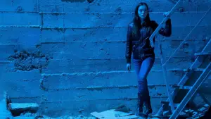 Задник до фильму"Я плюю на ваші могили 2" #812198