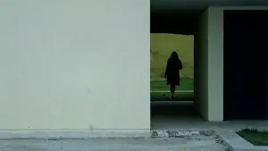 Задник до фильму"Червона пустеля" #775122