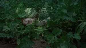 Задник до фильму"Безплідні землі" #667951