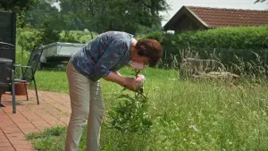 Задник до фильму"" #733478