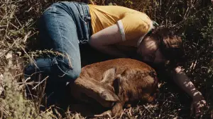 Задник до фильму"Звук падіння" #764163