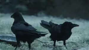 Задник до фильму"Гидка сестра" #519213