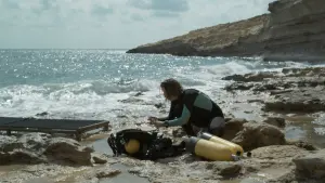 Задник до фильму"Занурення" #323412