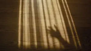 Задник до фильму"" #561198