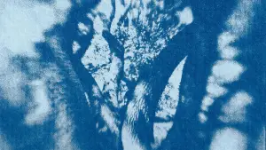 Задник до фильму"Farewell, My Tree" #782128