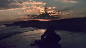 Задник до фильму"Щелепи" #520996