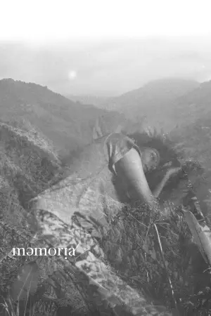 Постер до фильму"Пам’ять" #767614