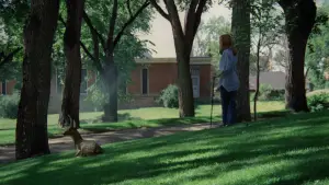 Задник до фильму"Безплідні землі" #667954