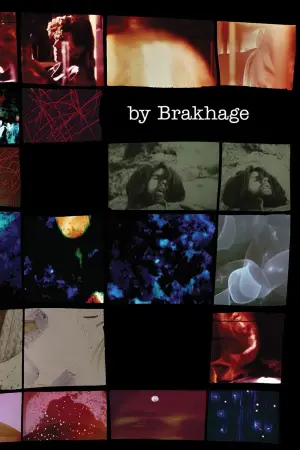 Постер до фильму"Метеликове світло" #703596