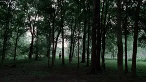 Задник до фильму"Древо життя" #723963