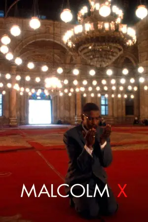 Постер до фильму"Малкольм Ікс" #807128